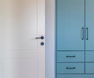 דלתות פרימיום גימור צבע בתנור